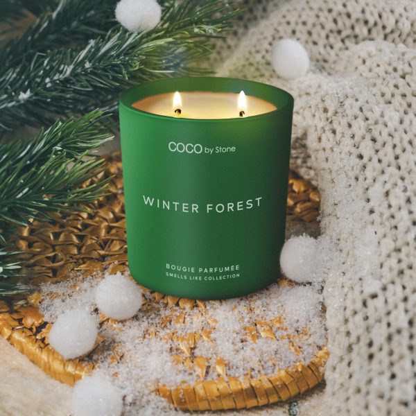 15oz Smells Like Winter Forest Candle Online now - Image 2