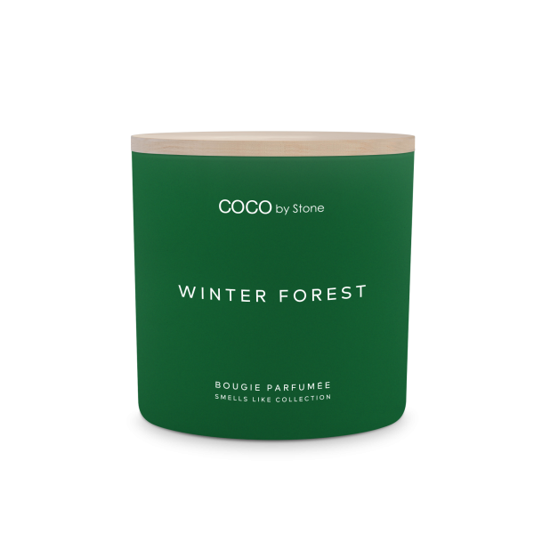 15oz Smells Like Winter Forest Candle Online now
