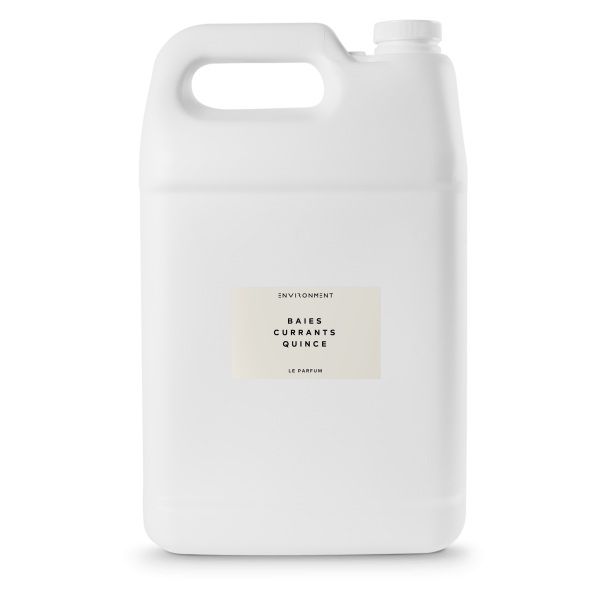 128oz Baies | Currants | Quince Machine Diffusing Oil (Inspired by Diptyque Baies®) Discount