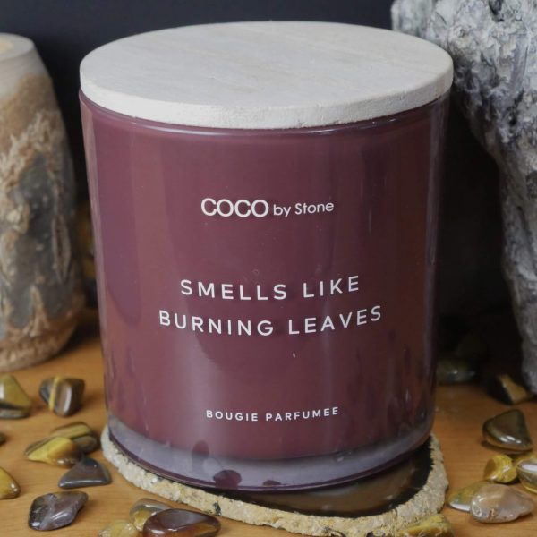 15oz Smells Like Burning Leaves Candle For Sale - Image 3