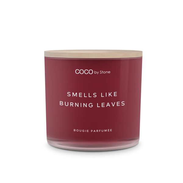 15oz Smells Like Burning Leaves Candle For Sale